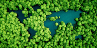 Rainforest-lakes-in-the-shape-of-world-continents.