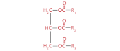 Vegetable Oil
