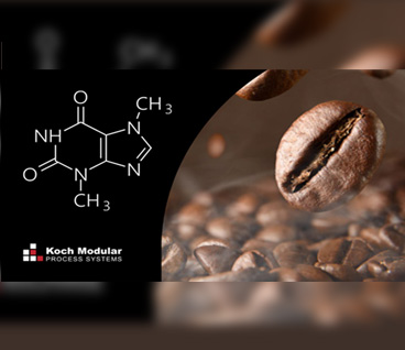 Continuous Decaffeination of Green Coffee Beans