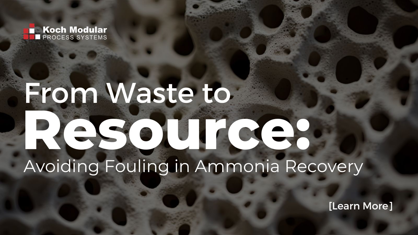 From Waste to Resource: Avoiding Fouling in Ammonia Recovery
